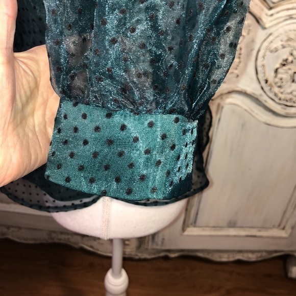 Haute Monde  Sheer Dotted Swiss Puffed Sleeve Button Down Blouse Size Small - Picture 7 of 11